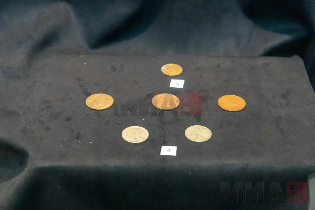 Изложбата на монети од XIV до XX век не води на патување низ светската историја на парите